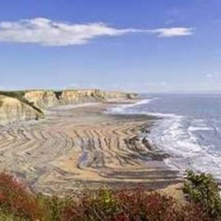 1-Bed Cottage On Coastal Pathway In South Wales Gileston Экстерьер фото